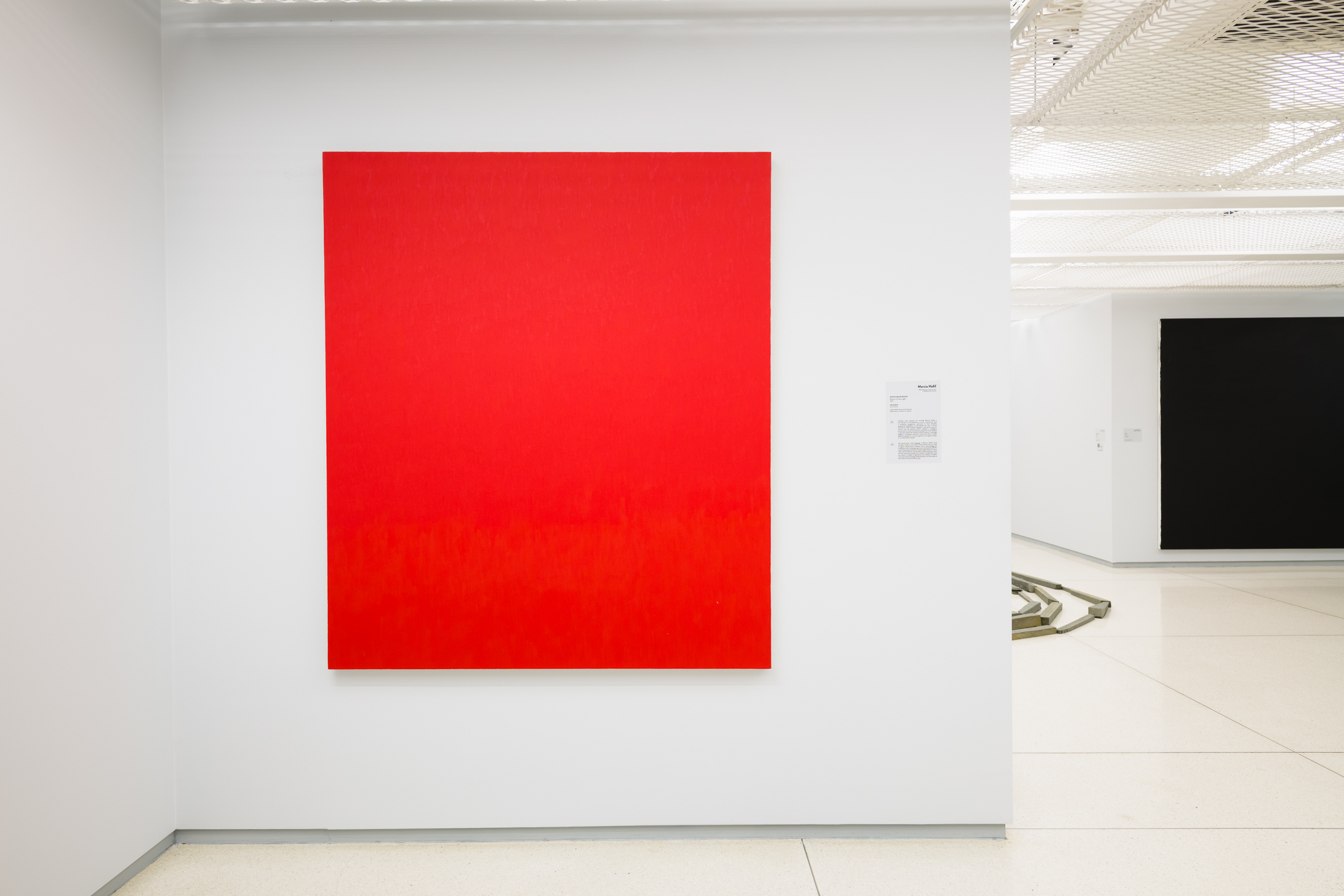 Large red canvas from All Our Todays exhibition